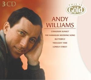 Andy Williams - Love letters in the sand Lyrics - Zortam Music