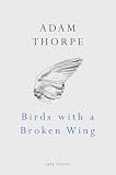 Birds with a Broken Wing