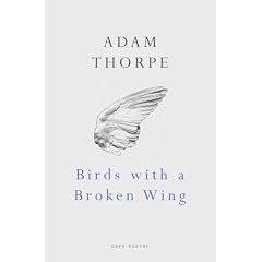 Birds with a Broken Wing