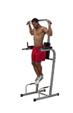 Powerline Vertical Knee Raise (PVKC83W)