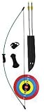 Wizard Youth Bow Set (SET)