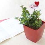 ���i�̏ڍ�