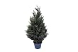 k�nstliche Zypresse Zypressenbaum Kunstpflanze Kunstbaum Busch Cypresse 70 cm