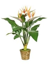 34 Inch Artificial Bird of Paradise Plant Arrangement in Decorative Basket