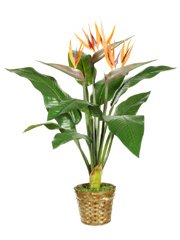 34 Inch Artificial Bird of Paradise Plant Arrangement in Decorative Basket
