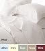 1000 TC Egyptian Cotton Sheet Set - Queen-King-Cal King- Solid Color by MFL, King LightBlue