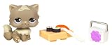 Hasbro Poupée - 91844 - Littlest Petshop Duo avec Accessoire - Chat gris