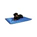 K & H Thermoregulating indoor or outdoors use dog, cat, pet, dog Cooling Bed III - Medium / Cool Blue