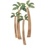 Jolees By You, Coconut Palm
