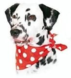 Bandana Polka Dot Red
