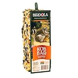 Birdola Squirola Kob Bungee for Squirrels