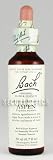Aspen Tincture 20 ml. 0.70 fl. oz.