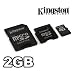 Kingston 2GB MicroSD Card with SD and MiniSD Adapter - Retail Package