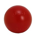 Jolly Pet 10" Push-n-Play Red