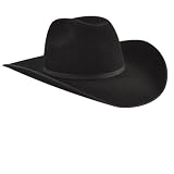 Bailey Western Wyoming 5X Hat 