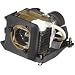 PC Hardware : IBM 73P2790 IBM Projector Lamp for M400 Projector