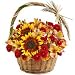 Lilies - Harvest Basket