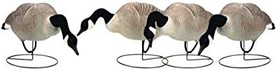 Final Approach Fa Last Pass Hd Field Honker Decoy Feeder Pack, 4 Pack