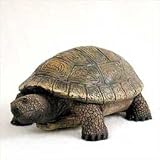 TURTLE Tortoise Looks Up New Figurine RESIN NIB AF69