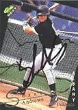 Shane Andrews, Albany Polecats - Expos Affiliate, 1993 Classic Best Gold Autographed Card