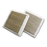 'Accent,' cushion covers (pair)