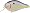 Chartreuse Shad
