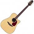 Takamine TAN16C Dreadnought Cutaway Acoustic-Electric Guitar-Gloss Natural