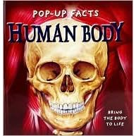 Pop-up Facts Human Body (Pop-Up Facts Series)
