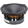 Speakers 8pe21 Midrange Speaker