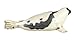 Safari Ltd Wild Safari Sea Life – Harp Seal – Realistic Hand Painted Toy Figurine Model – Quality Construction from Safe and BPA Free Materials – For Ages 3 and Up