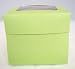 Green Cupcake Box with Window packs of 10