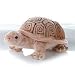 Sandy Turtle 12 by Aurora