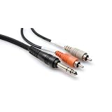 Audio Cable 3M 1/4" Trs To Dual Rca With White Earbud Headphones