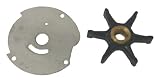 Sierra International 18-3203 Marine Impeller Repair Kit for Johnson/Evinrude Outboard Motor
