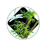 Peggy Karr Asian Dragonfly Serving Platter 11-in.