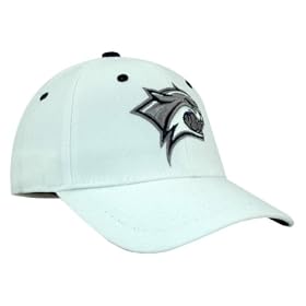 New Hampshire Wildcats Fit Stretch Cap from Top of the World