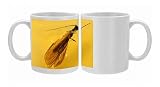SPH-2161 Stonefly (Plecoptera) embedded in Baltic AMBER Photo Mugs