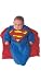 Search : Superman Bunting Costume (Bunting 0-9 mos)