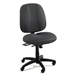 Workspace Apprentice II Multi-Task Mid-Back Seat Fabric: Black