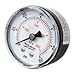 Sta-Rite 2″ Gauge 336000023T