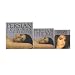 persian39  - Cold Wax Kit Persian 190G 6 oz MultiPack