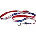 Chicago Cubs Ribbon Dog Leash