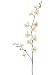 Pack of 12 Artificial Cream Yellow Mini Phalaenopsis Orchid Silk Flower Sprays