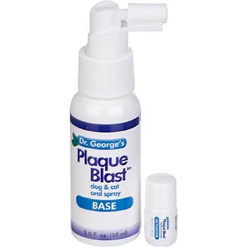 Dr. George's Plaque Blast