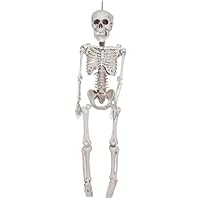 Skeleton - 20
