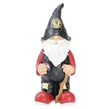 Chicago Blackhawks NHL Garden Gnome 11" Male