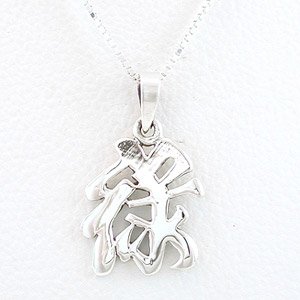 Asian WEALTH Symbol Pendant in Sterling Silver on a 16" Box Chain, #8478