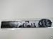 Twilight the Cullens Slap Bracelet