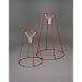 American Educational Products Nutrition Classroom Set