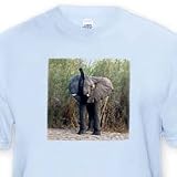 Elephant - Toddler Light-Blue-T-Shirt (3T)